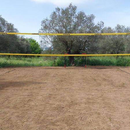 Appartamento Casale Citerno Bolsena Esterno foto
