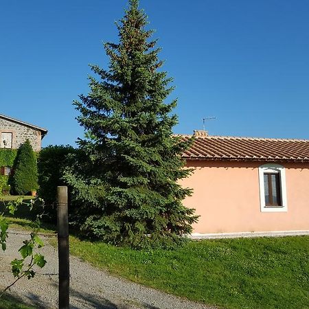 Appartamento Casale Citerno Bolsena Esterno foto