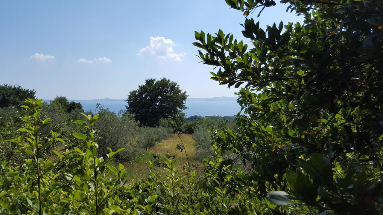 Appartamento Casale Citerno Bolsena Esterno foto